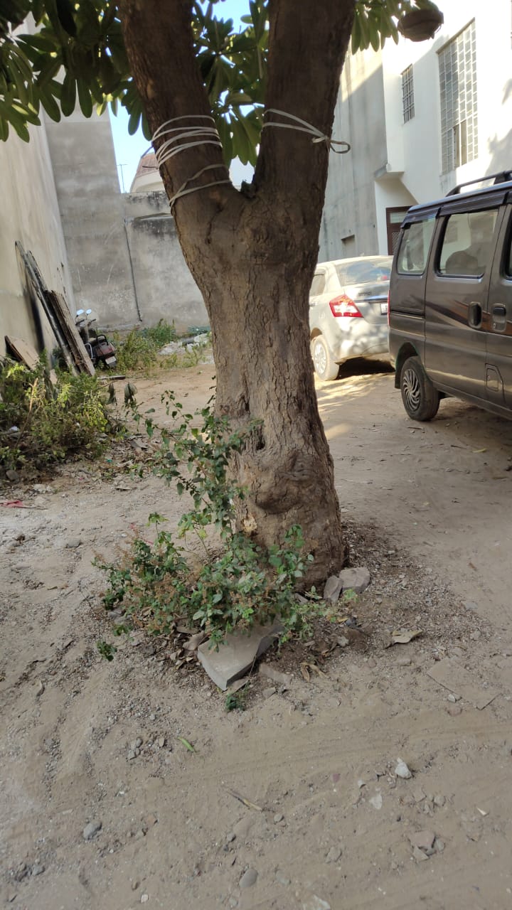 Trusted JDA Approved Residential Plots in Jagatpura Jaipur-Jagatpura-Jaipur